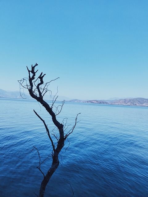 洱海 云南 双廊 - 上的免费照片