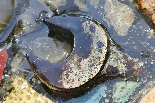 桌子 扳手 嵌入式 - 上的免费照片