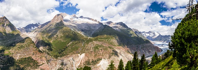 Aletsch 冰川 阿莱奇 - 上的免费照片