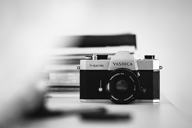 相机 雅西卡 镜片 - 上的免费照片