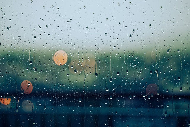 雨 滴 湿的 - 上的免费照片