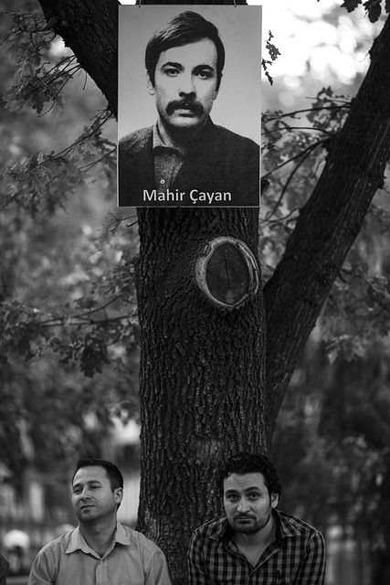 街 横幅广告 动作 - 上的免费照片