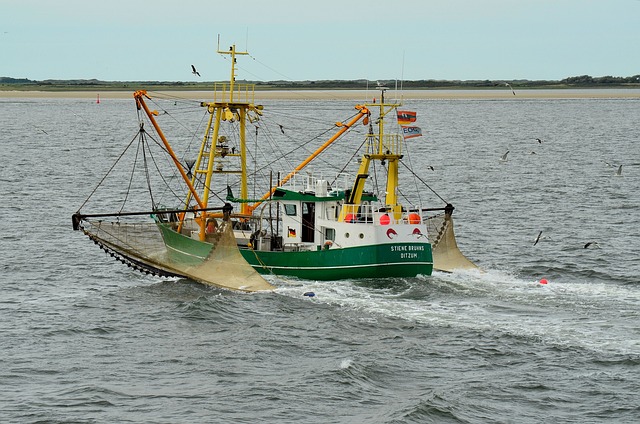 Borkum 渔船 钓鱼 - 上的免费照片