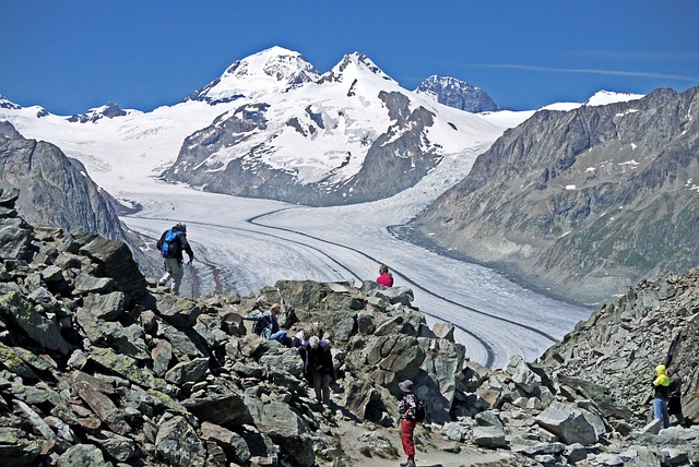 瑞士 Eggishorn 全景 Aletsch - 上的免费照片