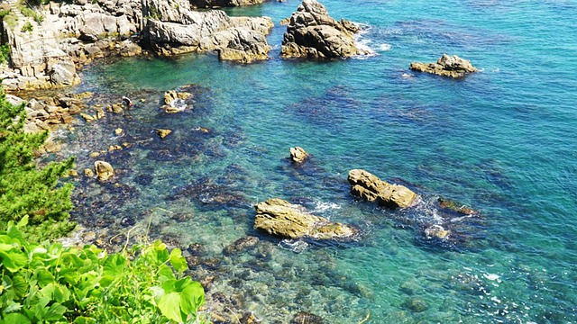 三陟 沿海公路 海滩 - 上的免费照片