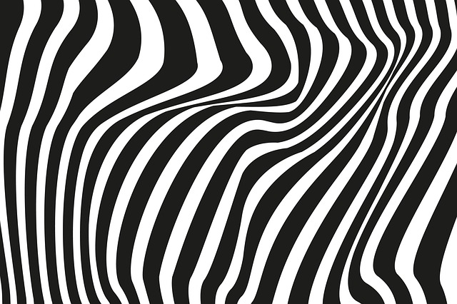 波 线 曲线 - 上的免费图片