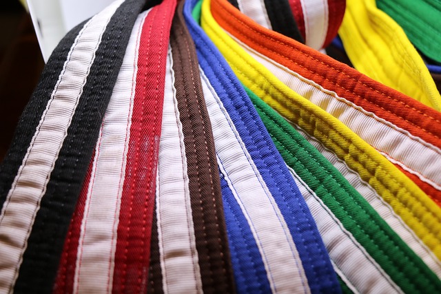 空手道 武术 腰带 - 上的免费照片