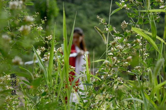 古装 武侠 - 上的免费照片