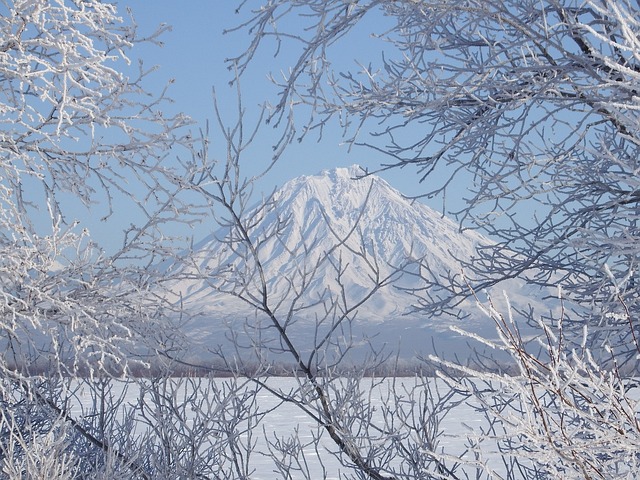 冬季 弗罗斯特 雪 - 上的免费照片