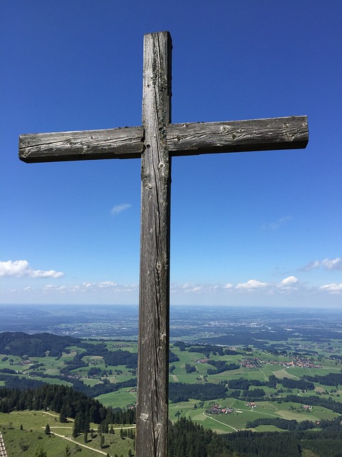 叉 木头 马特尔 - 上的免费照片