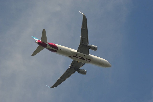 欧翼 航班 - 上的免费照片