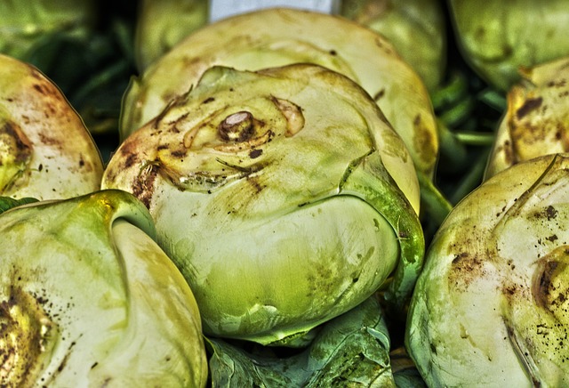 苤 蔬菜 卷心菜 - 上的免费照片