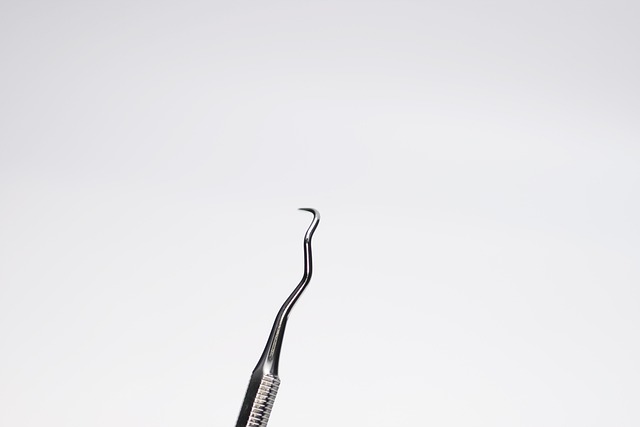 牙垢剂 鞑 - 上的免费照片