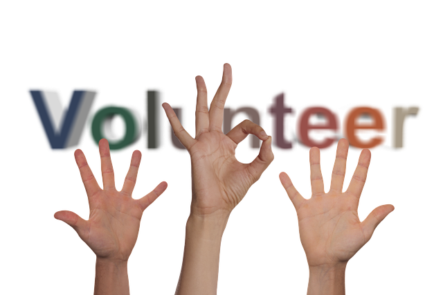 志愿者 手 自愿地 - 上的免费图片