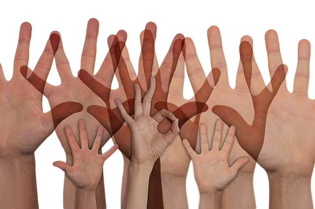 志愿者 手 自愿地 - 上的免费图片