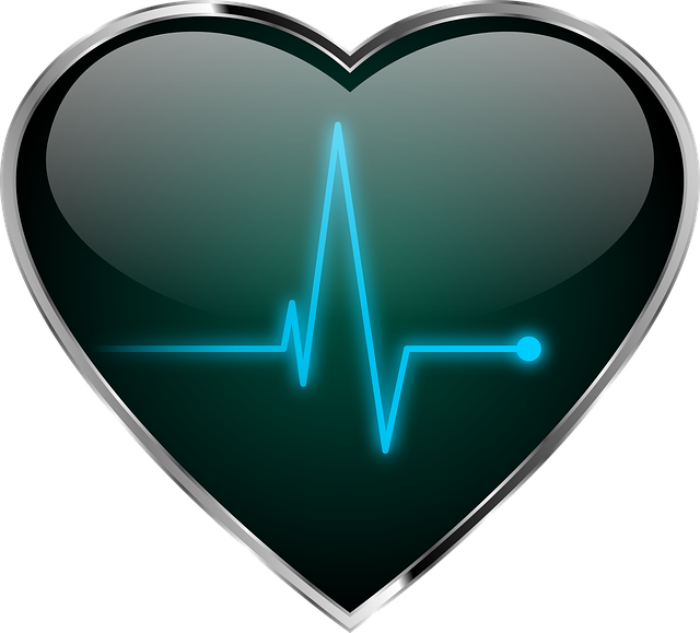 心 脉冲 健康 - 上的免费图片