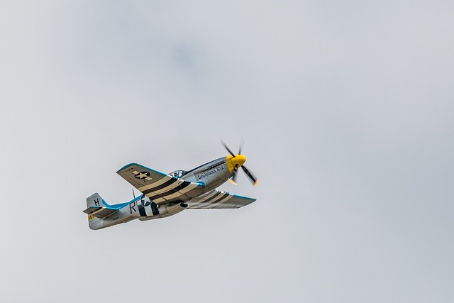 P-51野马 军用飞机 飞机 - 上的免费照片