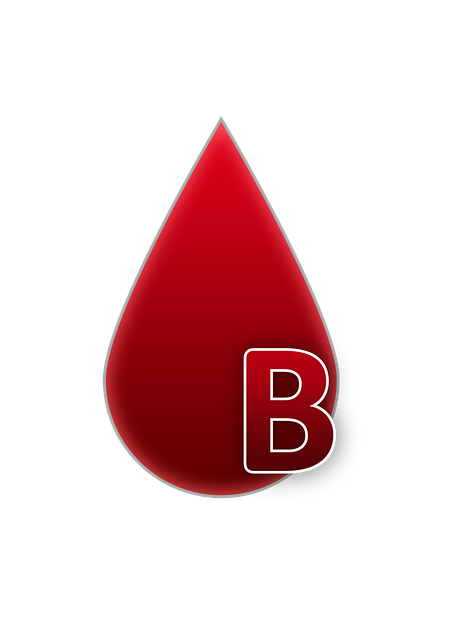 血型 B 血 - 上的免费图片