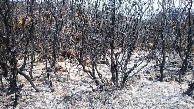 烧伤 Zakyntos 希腊 - 上的免费照片