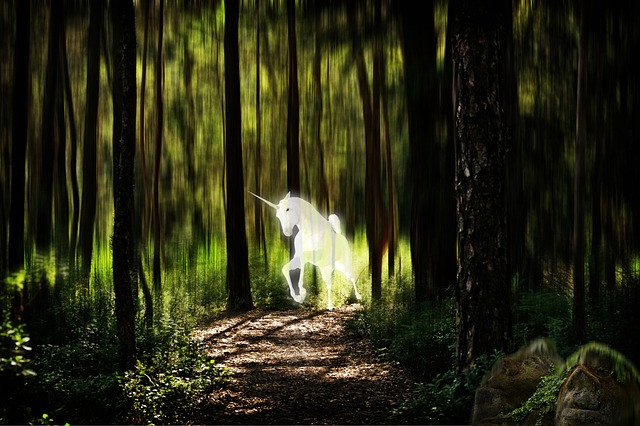 独角兽 森林 幻想图片 - 上的免费照片