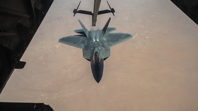 F-22 猛禽 隐身 - 上的免费照片