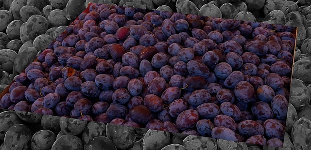 李子 水果 食物 - 上的免费照片