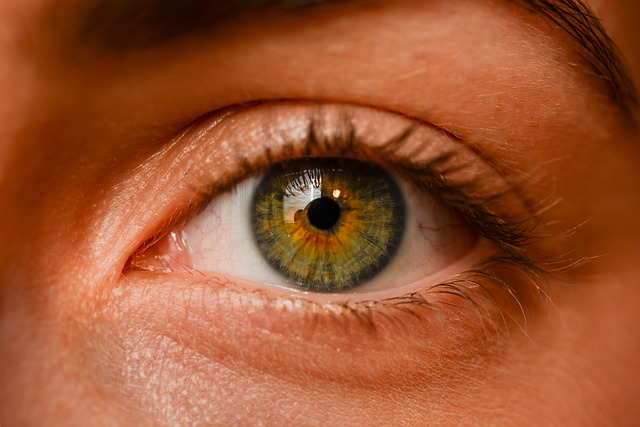 眼睛 虹膜 视线 - 上的免费照片