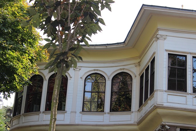 艾哈迈德 Hamdi - 上的免费照片