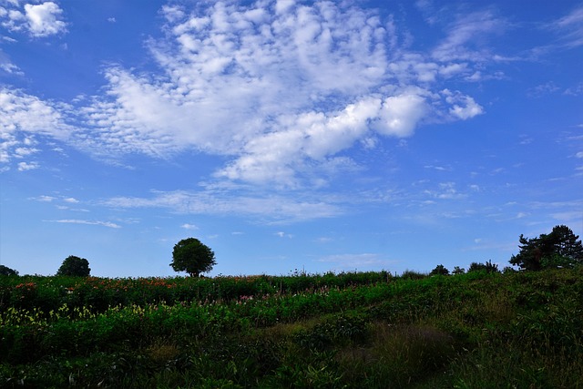 草地 场地 佐利孔 - 上的免费照片