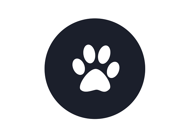 Cat Light Paw - 上的免费图片