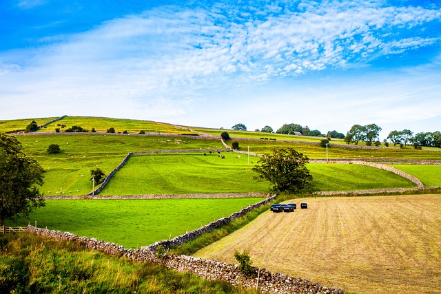 约克郡 Burnsall 英国 - 上的免费照片