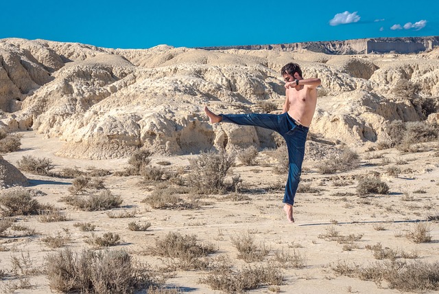 沙漠 空手道 喜欢 - 上的免费照片