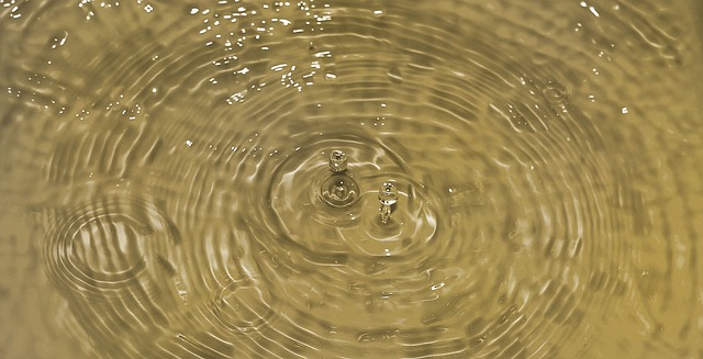 水 滴 世界 - 上的免费照片