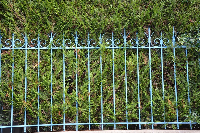 网格 铁-拉登 门户网站 - 上的免费照片