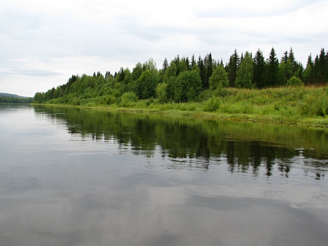 电阻 维舍拉 小组 - 上的免费照片