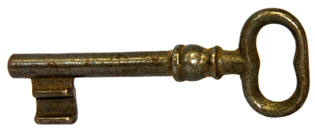 钥匙 胡须 刀片式服务器 - 上的免费照片