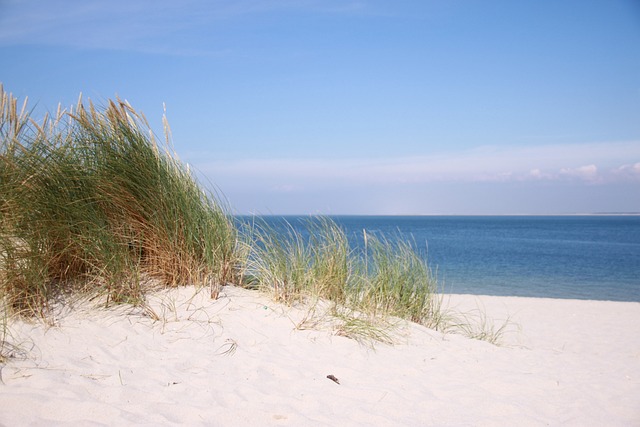 海滩 沙 北海 - 上的免费照片