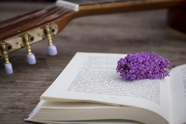 一本书 训练 页 - 上的免费照片