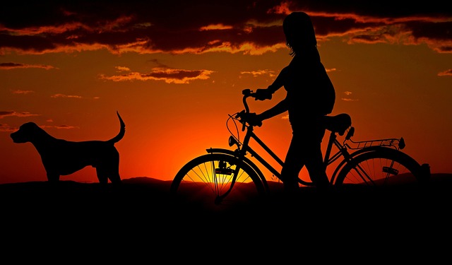 女士 自行车 日落 - 上的免费照片