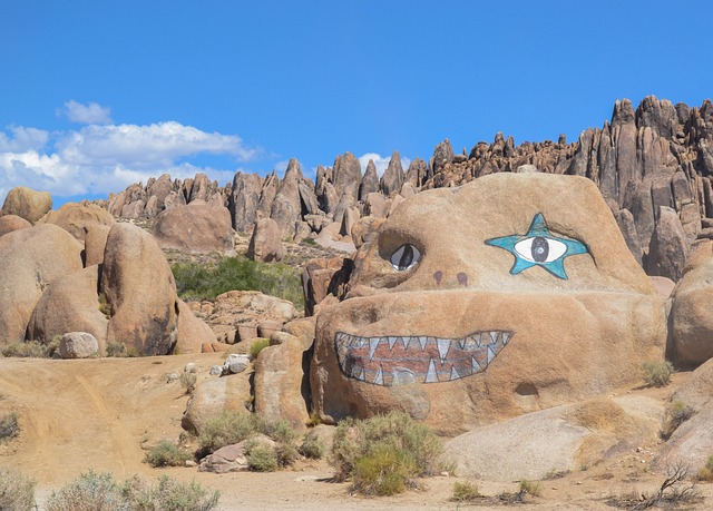 阿拉巴马山 孤松 美国 - 上的免费照片