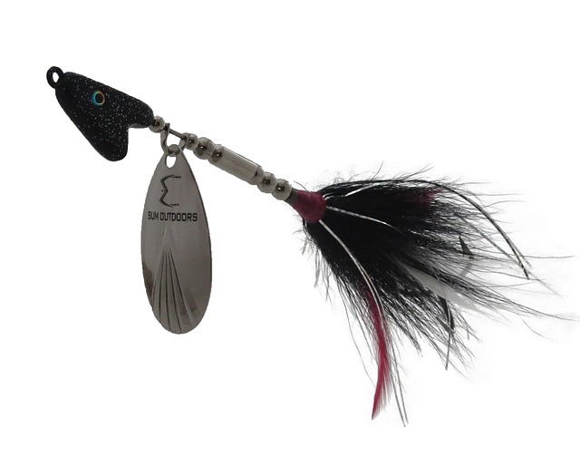 Bucktail 鱼饵 旋转器 - 上的免费照片