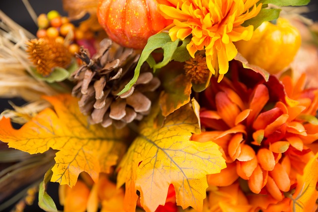 秋天的花 感恩节的花朵 落下 - 上的免费照片