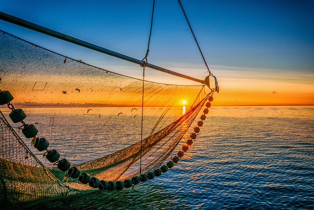 北海 日出 天堂 - 上的免费照片