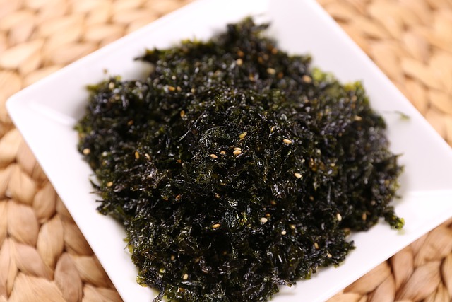 海藻粉 海藻 城市后面 - 上的免费照片