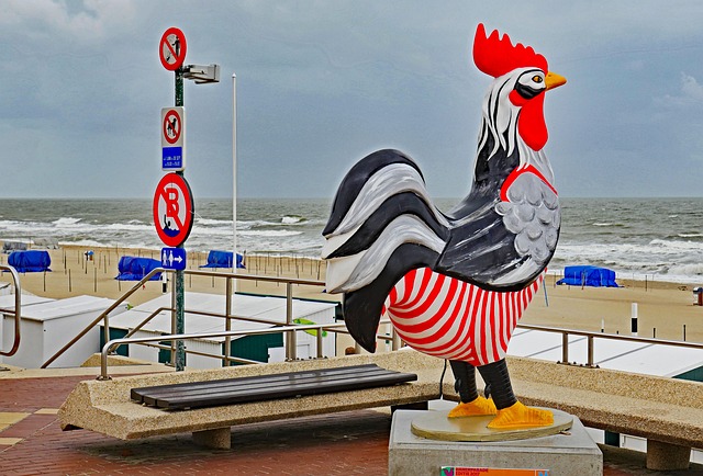 德汉 比利时 北海海岸 - 上的免费照片