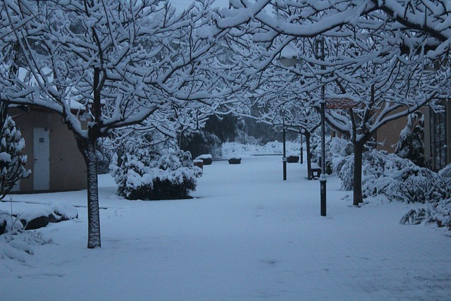 雪 村庄 冬天 - 上的免费照片