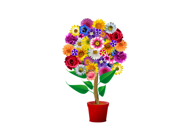 花 开花 花盆 - 上的免费图片