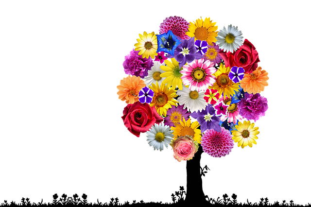 花 开花 树 - 上的免费图片