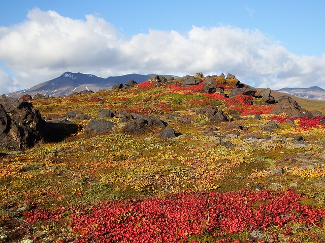 山 火山 苔原 - 上的免费照片