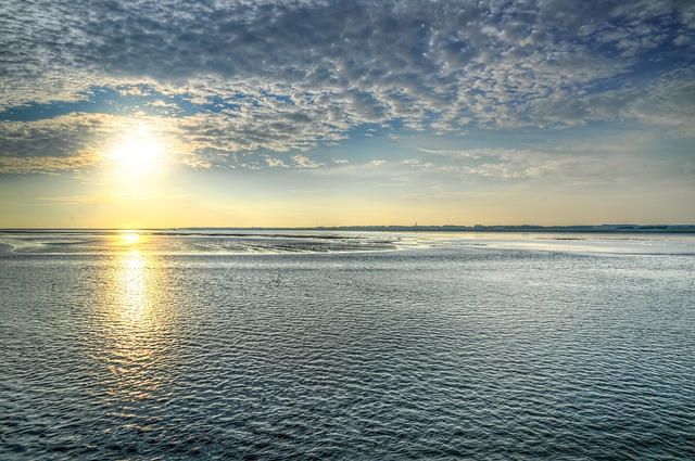 瓦登海 低潮 风景秀丽的 - 上的免费照片